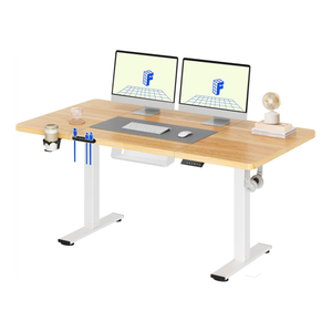 FlexiSpot elektrisch verstelbaar zit-sta bureau 140x60cm